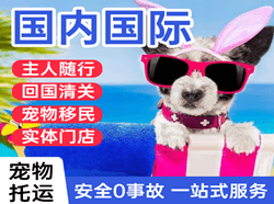 西庆机场物流国际宠物托运 【国